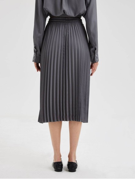 Pleated Mid-Length Skirt