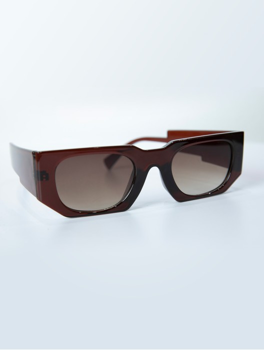 Big Chunky Frame Sunglasses