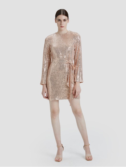 Sequin Mini Dress