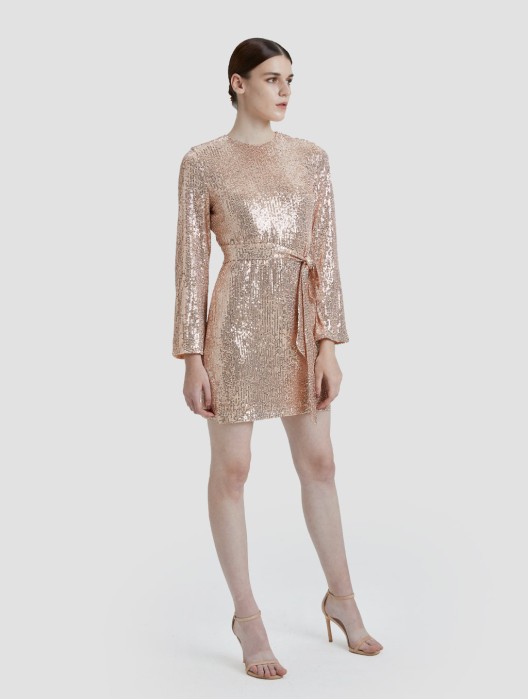 Sequin Mini Dress