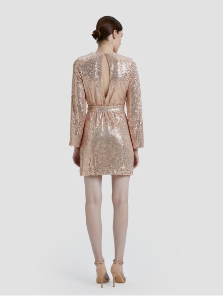 Sequin Mini Dress