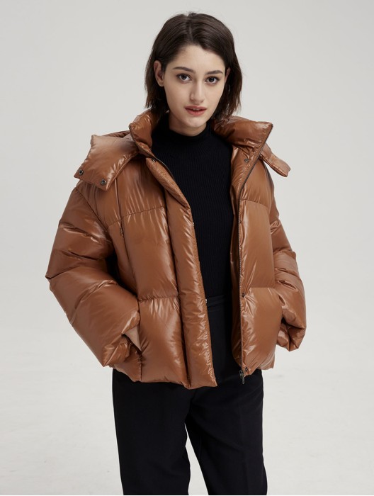 High Collar Cropped Hooded Puffer Jacket