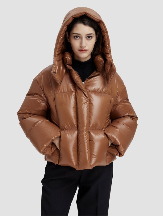 High Collar Cropped Hooded Puffer Jacket